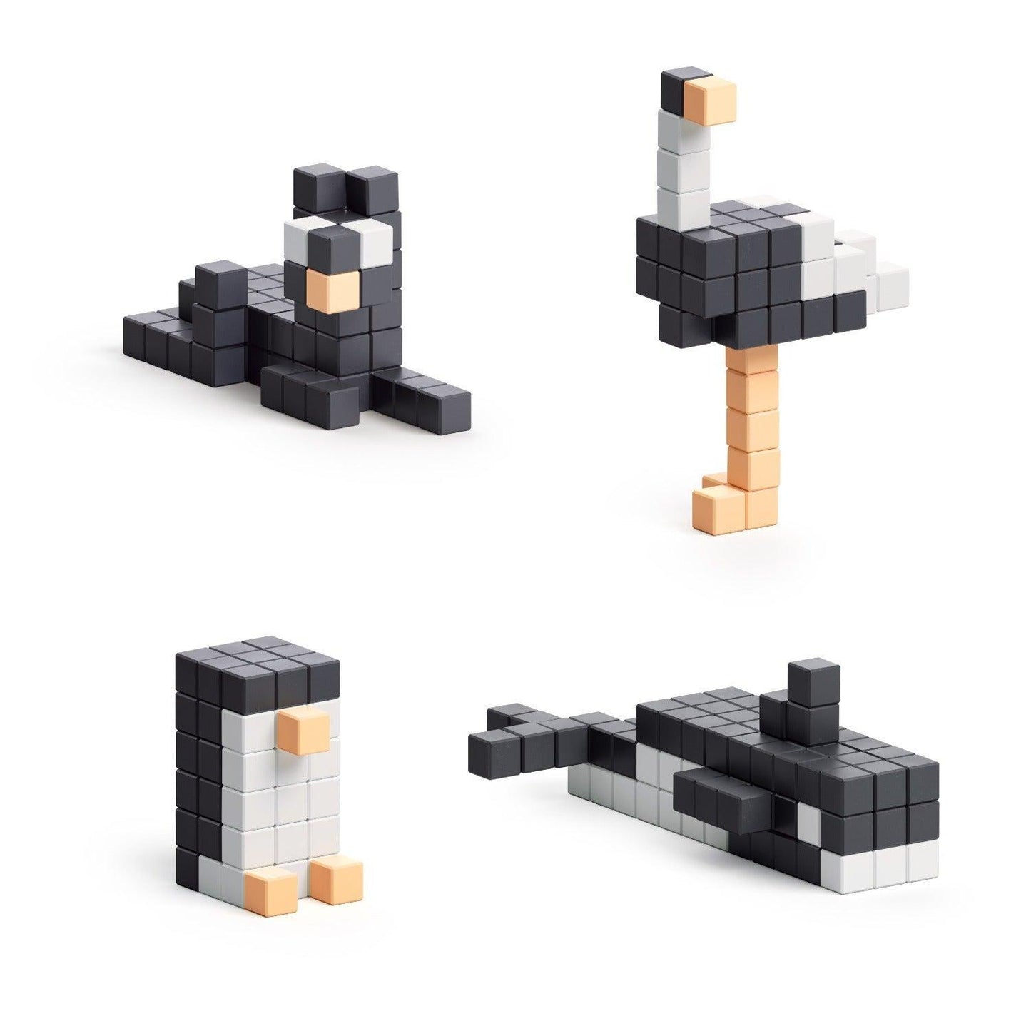 PIXIO Black & White Animals - 195 Magnetic Blocks in 4 Colors + Free